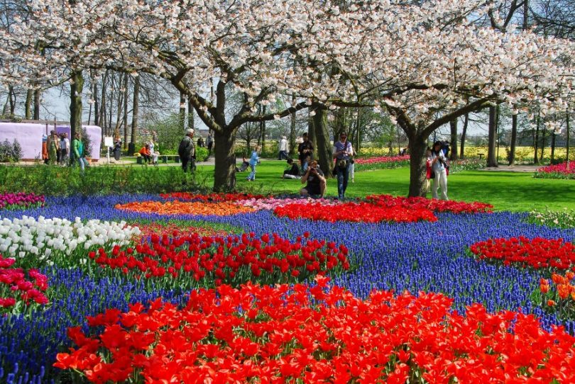 Resultado de imagem para amsterdã