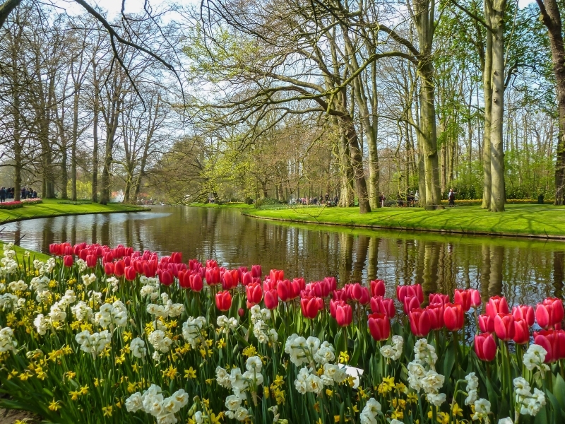 Passeios guiados em português no Keukenhof na Holanda