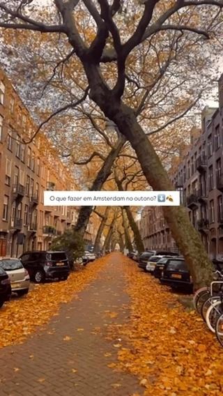 🍂 Preparados para o outono? Ele já está batendo à porta, e a temporada de suéteres começou!  Se você está vindo para Amsterdam, não esqueça a capa de chuva! Aqui estão algumas dicas do que fazer:  🪩 @amsterdamdanceevent – 19 e 20 de outubro
O Amsterdam Dance Event é um dos maiores festivais de música eletrônica do mundo, que toma conta da cidade com uma programação intensa de festas, workshops, painéis de discussão e apresentações de DJs em diversos locais, incluindo clubes, bares e até espaços públicos  🏃‍♂️ @tcsamsterdammarathon – 20 de outubro
41ª edição da Maratona de Amsterdam  🌙 @museumnacht.amsterdam – 2 de novembro
Noite dos museus, nesse dia, a maioria dos museus de Amsterdam fica aberta até de madrugada, com eventos e programas especiais  💡 @amsterdamlightfestival –  28 de novembro a 19 de janeiro
O Amsterdam Light Festival é um evento anual que transforma a cidade com impressionantes instalações de luz criadas por artistas, iluminando os canais e ruas. Ideal para explorar de barco ou caminhado  Se alguma dessas dicas te interessou, recomendamos você conferir o site oficial para mais informações 
•
•
•
#Amsterdam #Amsterdã #Amsterdão #Holanda #Holland #ConexãoAmsterdam #GuiaAmsterdam #GuiaHolanda #GuiaEmAmsterdam #PaisesBaixos #EuroTrip #BrasileirosNaHolanda